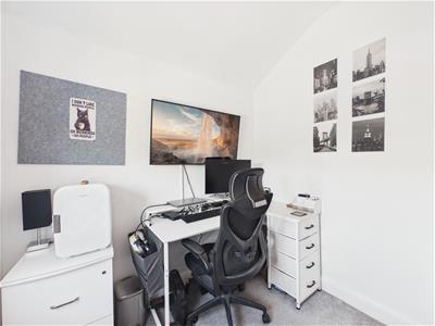 Picture 15